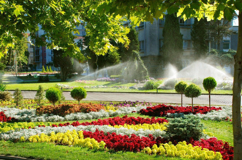 Sylvita Landscaping — Backyard Patio and Irrigation in Vancouver, before